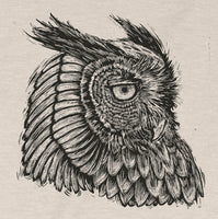 Screech Owl by Dan Grzeca